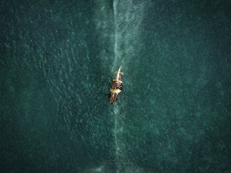 "In the Heart of the Sea" سفينة تحتجزها الحيتان